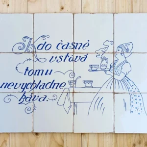 Značkový Da Vinci Forli Domácí kuchařka ručně malovaný obraz 15x15 lesk M – sada 12 ks